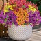 10-Piece Artificial Fall Flower Set – UV-Resistant Faux Mums & Eucalyptus for Porch, Patio, Garden, Planters, and Autumn Outdoor Home Decor